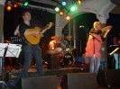 Irish Folk Night 2009